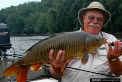 钓一条鱼可以获4万多奖金，你参与吗?澳大利亚为了消灭鲤鱼出