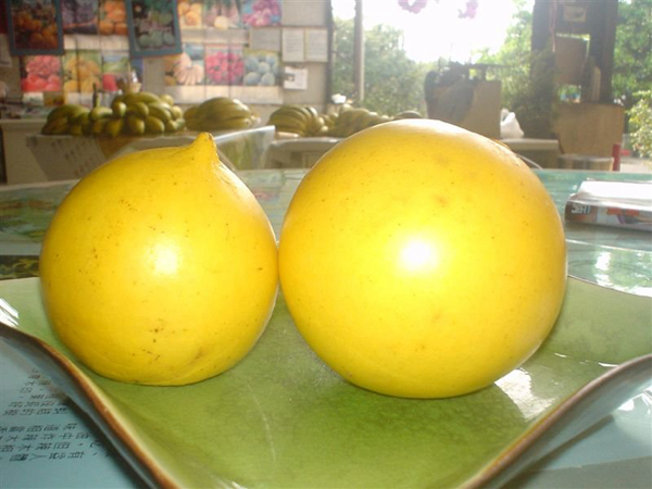 20种不常见但很好吃的怪异水果，非洲角瓜绝对是吃货的追求--阿里百秀